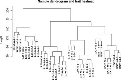 Weighted gene co-expression network analysis identifies genes related to HG Type 0 resistance and verification of hub gene GmHg1